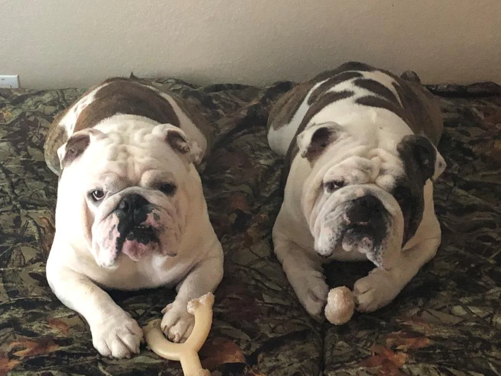 Your attention please!