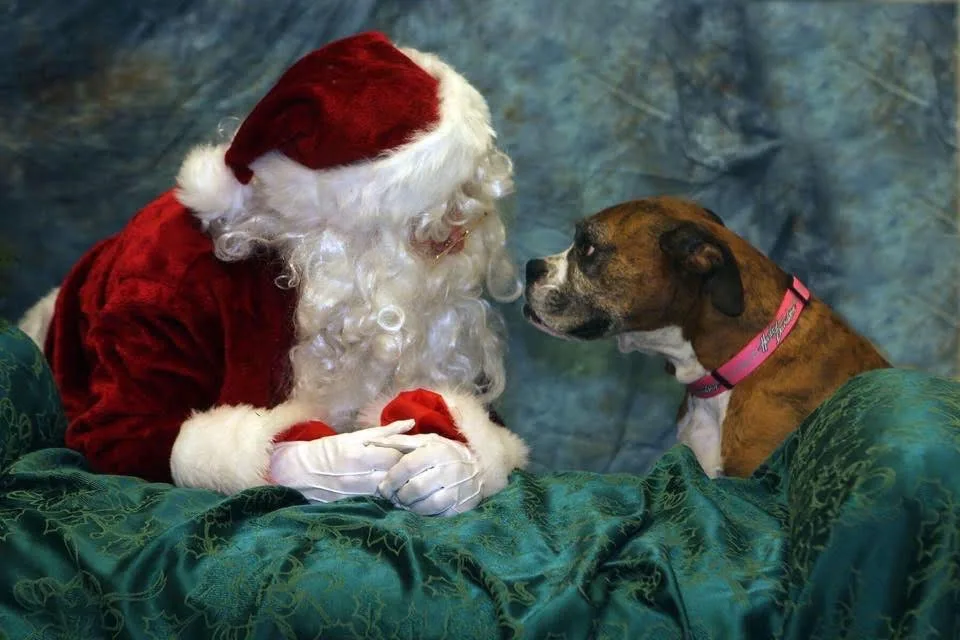 My fav photo when I play Santa