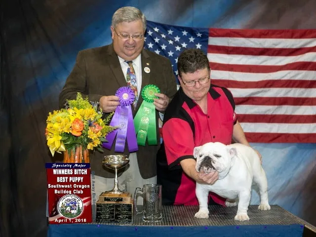 Sureshot A LiL Sentimental