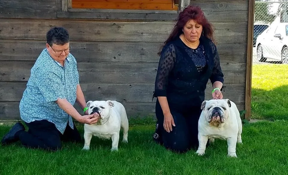 Yolo & Juggs Yolo & Juggs